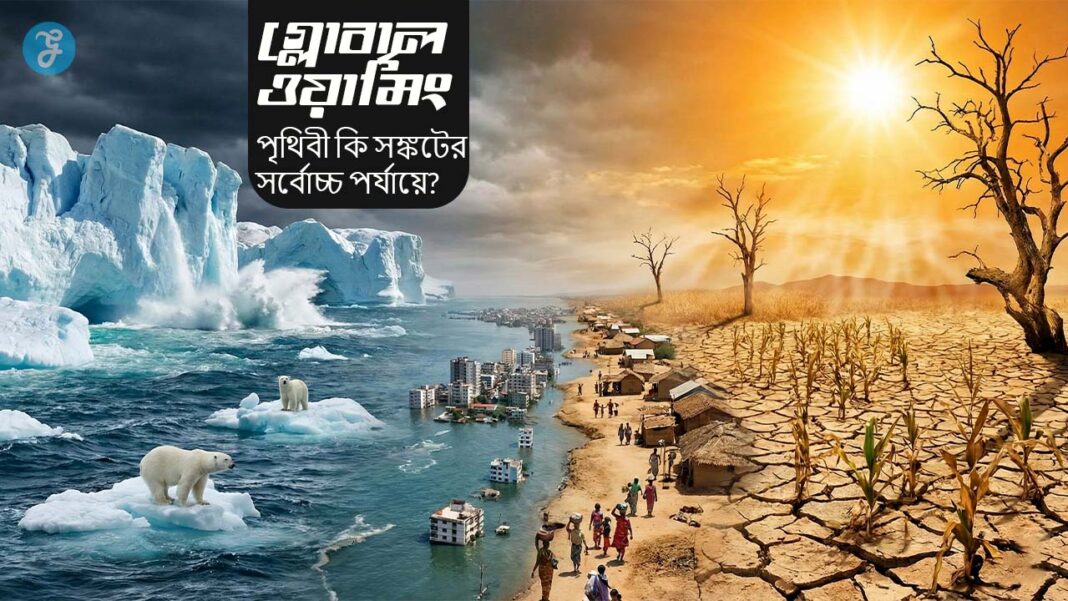 impacts of global warming