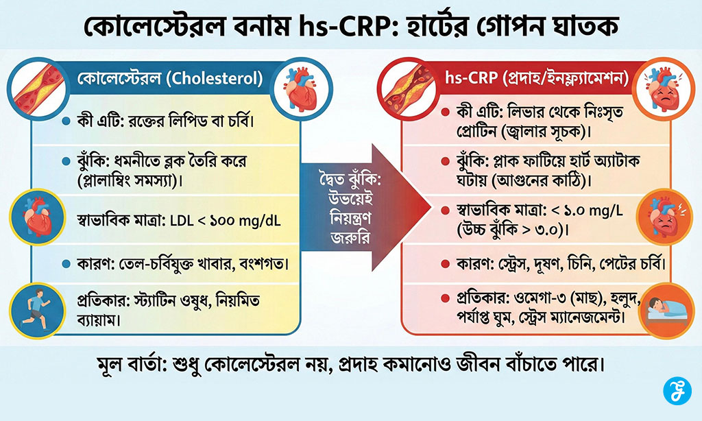 cholesterol vs hs-CRP