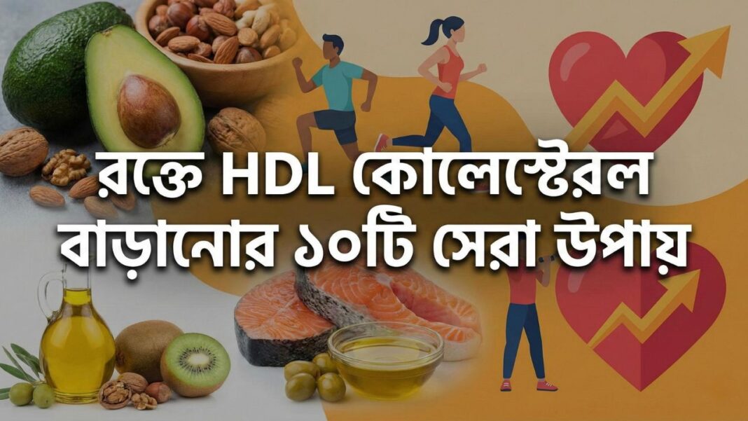 Ways to Increase HDL Cholesterol