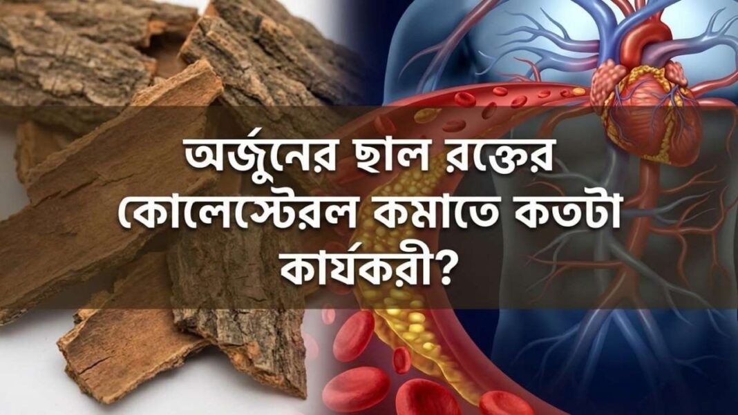 অর্জুনের ছাল