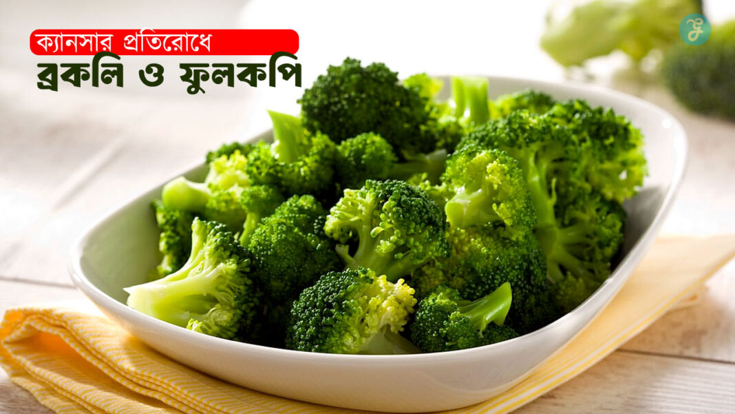 Science of the Cruciferous Trio in Cancer Prevention