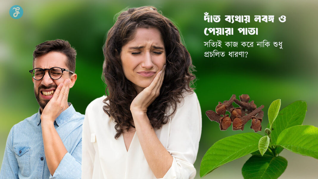 Clove and Guava Leaves for Toothache