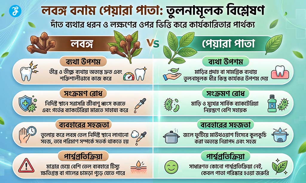 Clove and Guava Leaves for Toothache