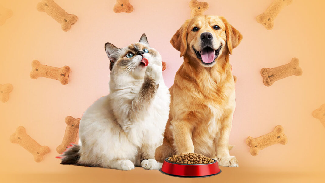 Pet Food Business in Bangladesh