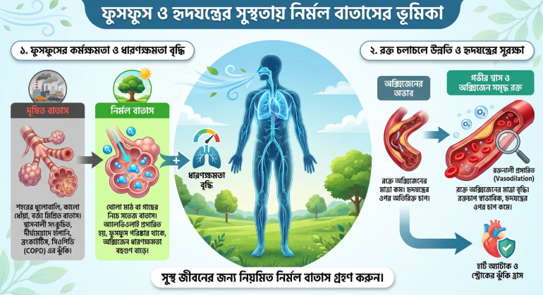 নির্মল বাতাস কিভাবে আপনাকে সুস্থ রাখে