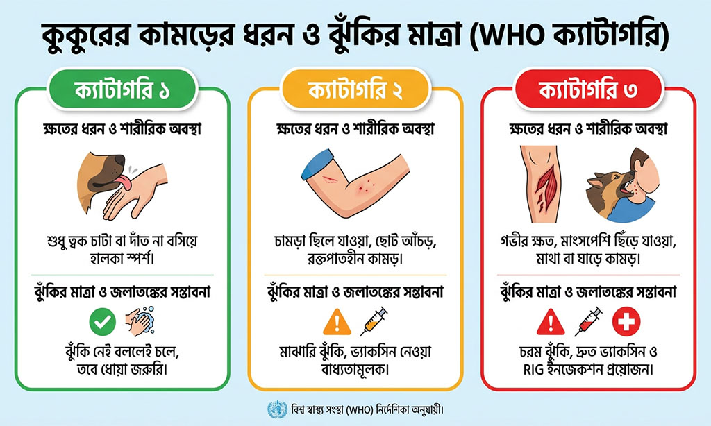 Category of Dog Bite