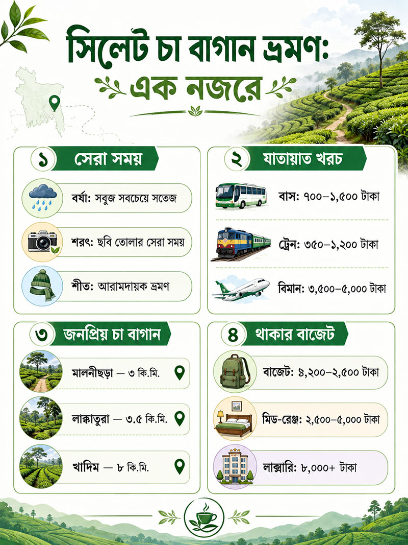 Sylhet Tour Guide - Tea garden