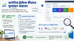 অর্গানিক ট্রাফিক কীভাবে মূল্যায়ন করবেন